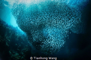 the end of the last year i took this amazing pic at moalb... by Tianhong Wang 